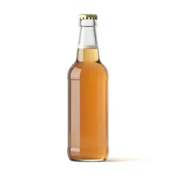 Bottle of kombucha