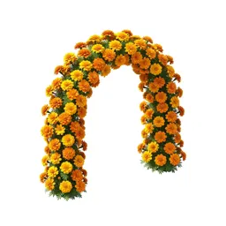 Marigold arch
