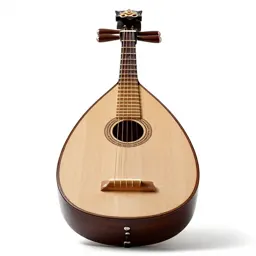 Bard's lute