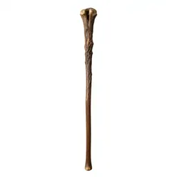 Wizard's staff