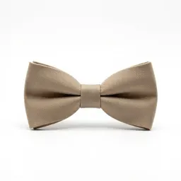 Bow tie