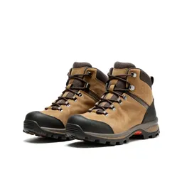 Pair of hiking boots