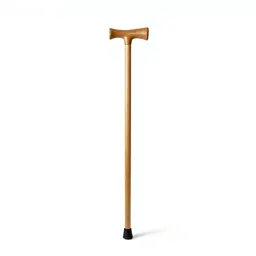 Walking cane