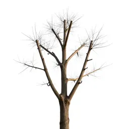 Hall tree with hooks