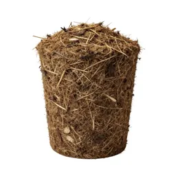 Compost bin