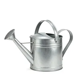 Galvanised watering can