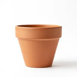 Terracotta plant pot