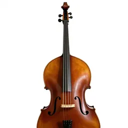 Double bass