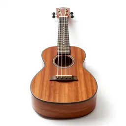 Ukulele