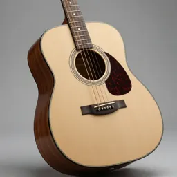 Acoustic guitar