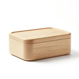 Bento lunch box