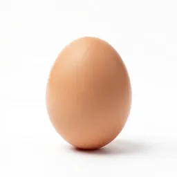 Egg timer