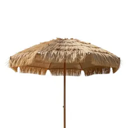 Beach umbrella