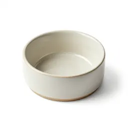 Ceramic dog bowl
