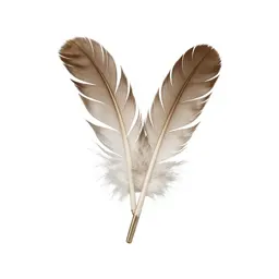 Feather wand toy