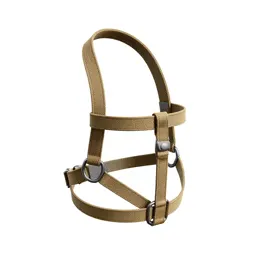 Harness with a handle