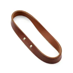 Leather dog lead