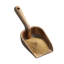 Litter scoop