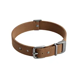 Martingale collar