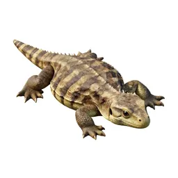 Reptile hide