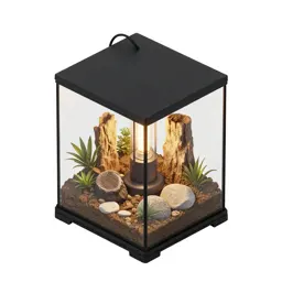 Terrarium with a heat lamp