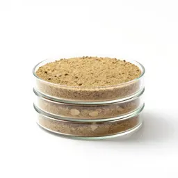 Petri dish stack