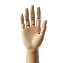 Prosthetic hand