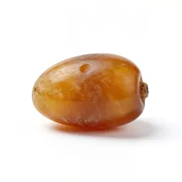 Amber specimen