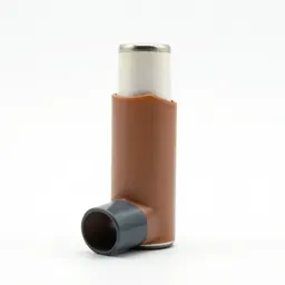 Inhaler
