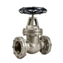 Reactor coolant valve