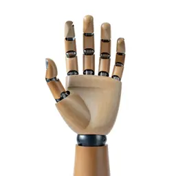 Robotic hand