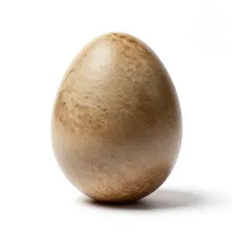 Xeno egg casing