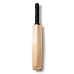 Cricket bat