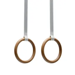 Gymnastic ring pair
