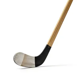 Hockey stick