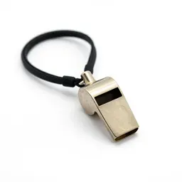 Whistle on a lanyard