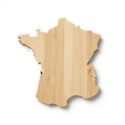 French curve template