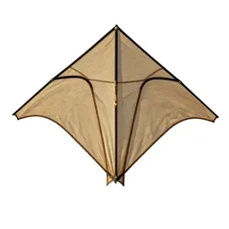 Kite