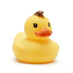Rubber duck