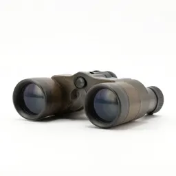 Stereoscope viewer