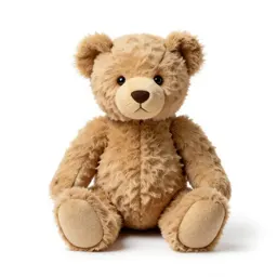 Teddy bear