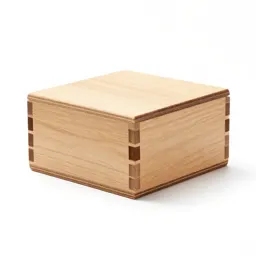 Wooden puzzle box