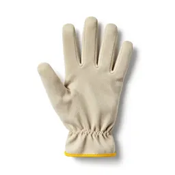 Glove