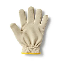 Kid glove