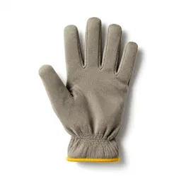 Mitten