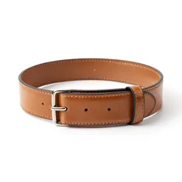 Money belt