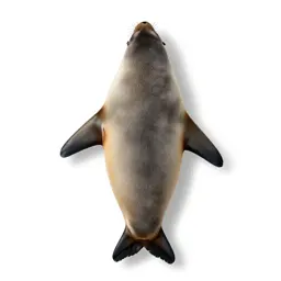 Sealskin