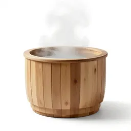 Steam bath