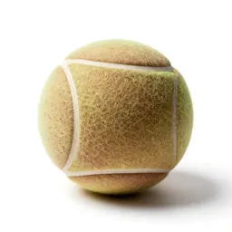 Tennis camp