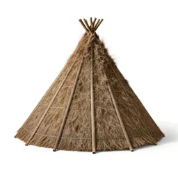 Wickiup